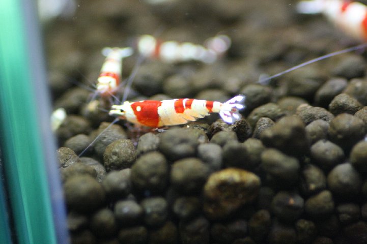 アップロードファイル 101-2.jpg