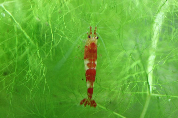 アップロードファイル 101-3.jpg