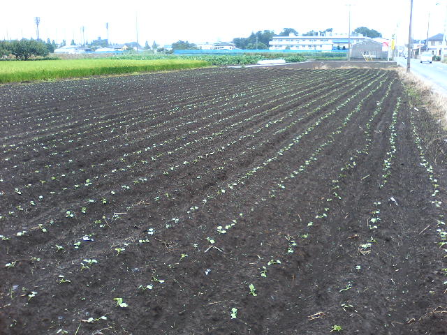 アップロードファイル 102-2.jpg