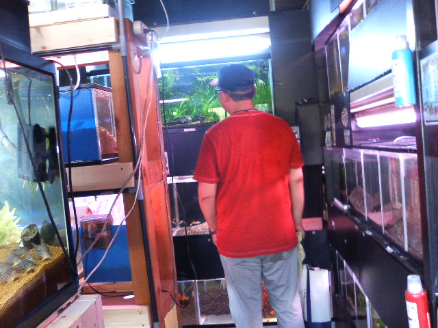 アップロードファイル 103-3.jpg