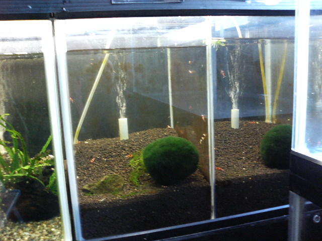 アップロードファイル 103-4.jpg