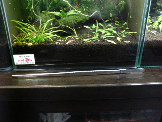 アップロードファイル 104-1.jpg