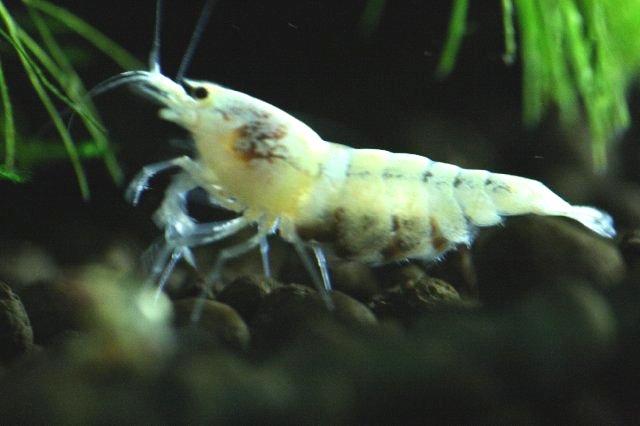 アップロードファイル 104-4.jpg