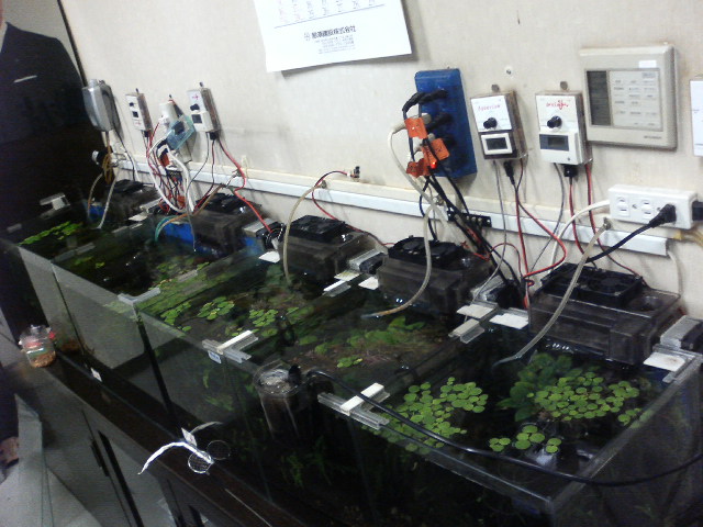 アップロードファイル 106-2.jpg