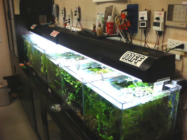 アップロードファイル 106-3.jpg