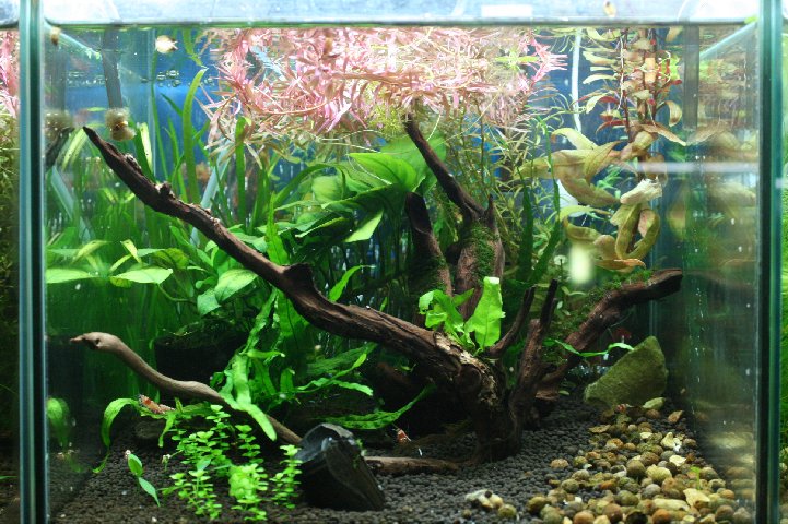 アップロードファイル 107-1.jpg