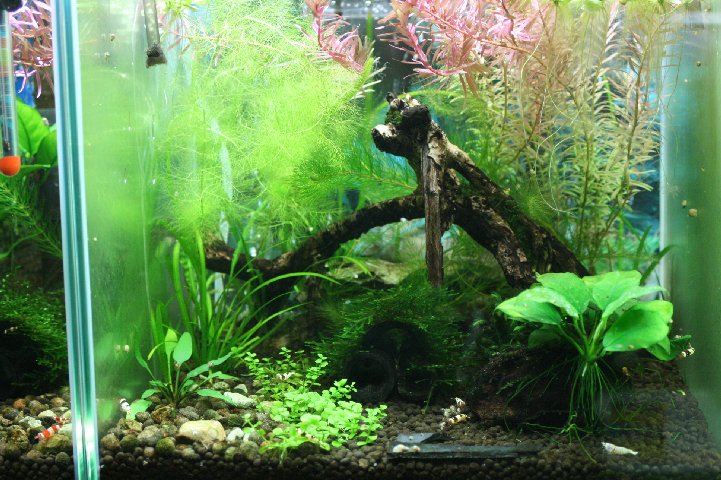 アップロードファイル 107-2.jpg