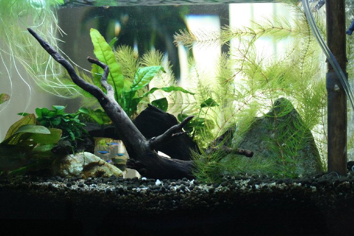 アップロードファイル 107-3.jpg