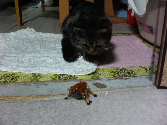 アップロードファイル 108-5.jpg