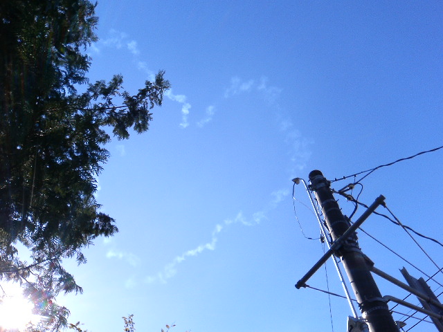 アップロードファイル 114-4.jpg