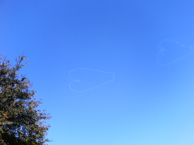 アップロードファイル 114-5.jpg