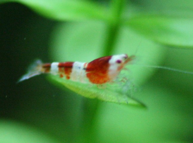 アップロードファイル 116-4.jpg