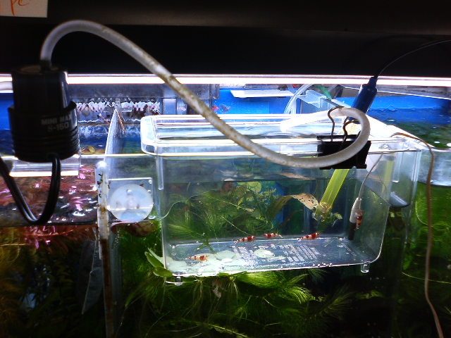 アップロードファイル 12-4.jpg