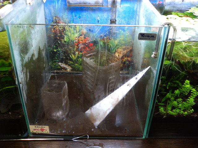 アップロードファイル 120-1.jpg