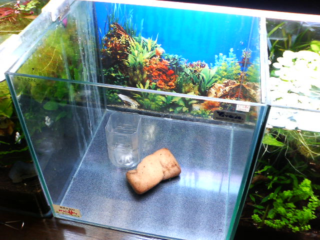 アップロードファイル 120-2.jpg