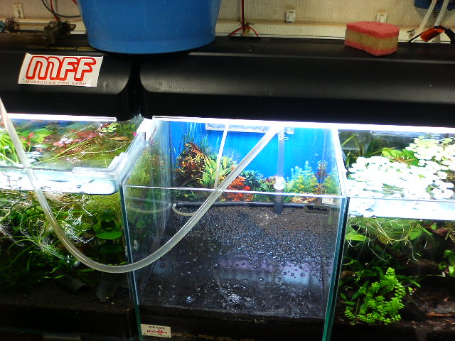 アップロードファイル 120-4.jpg