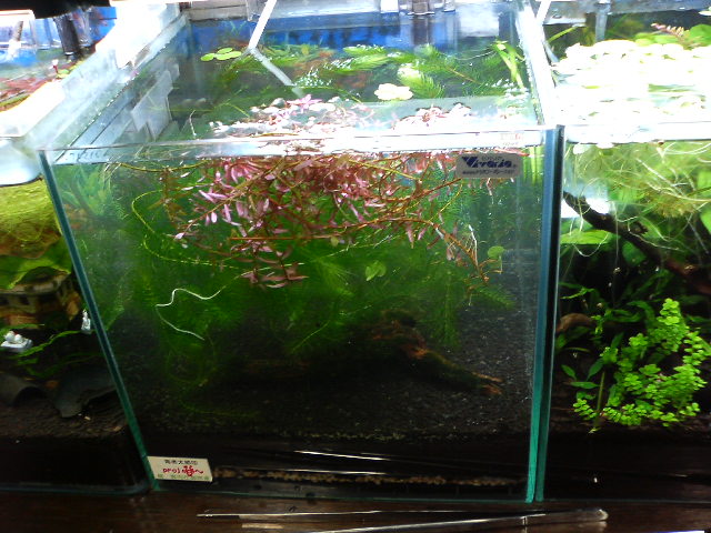 アップロードファイル 120-5.jpg