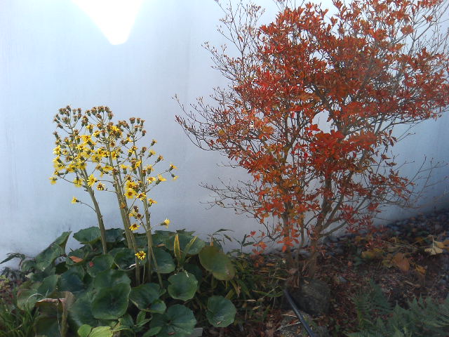 アップロードファイル 121-3.jpg