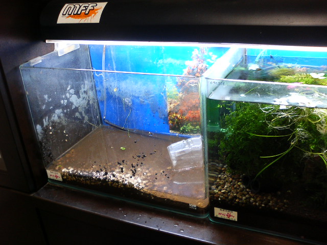 アップロードファイル 123-1.jpg