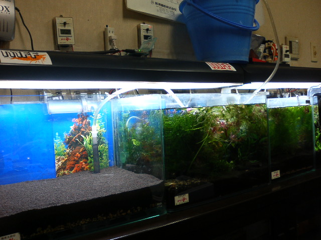 アップロードファイル 123-3.jpg