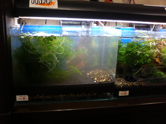 アップロードファイル 123-4.jpg