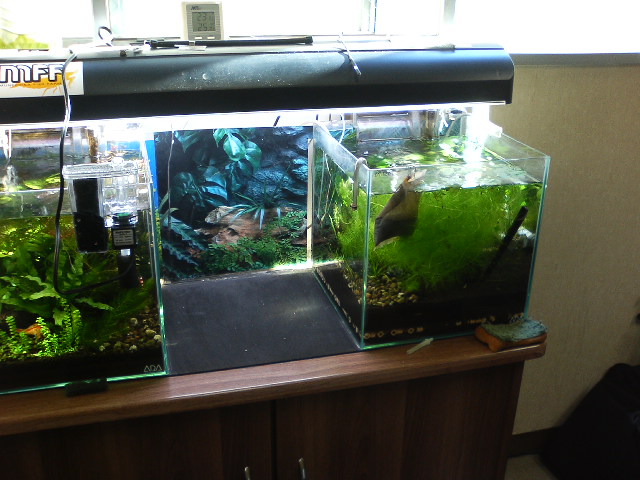 アップロードファイル 124-1.jpg