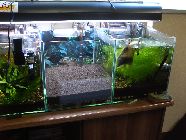 アップロードファイル 124-2.jpg