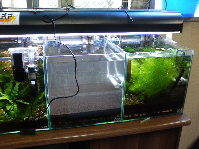 アップロードファイル 124-3.jpg