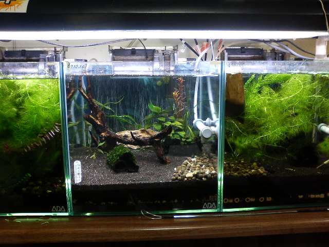 アップロードファイル 124-4.jpg