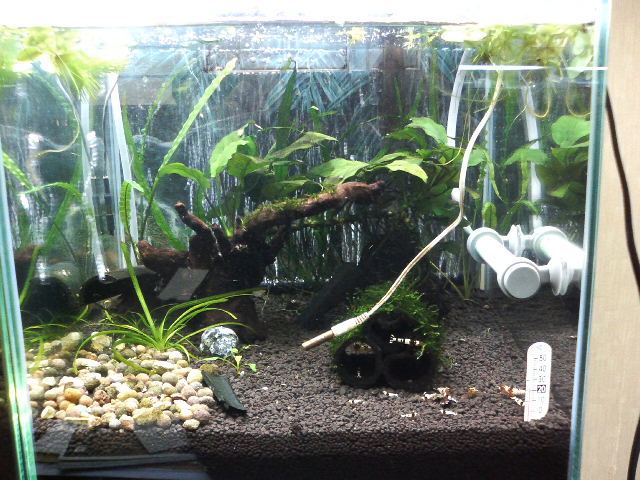 アップロードファイル 124-5.jpg