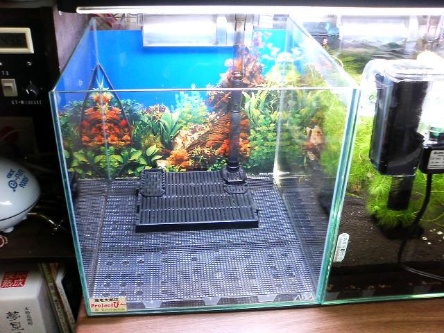 アップロードファイル 125-1.jpg