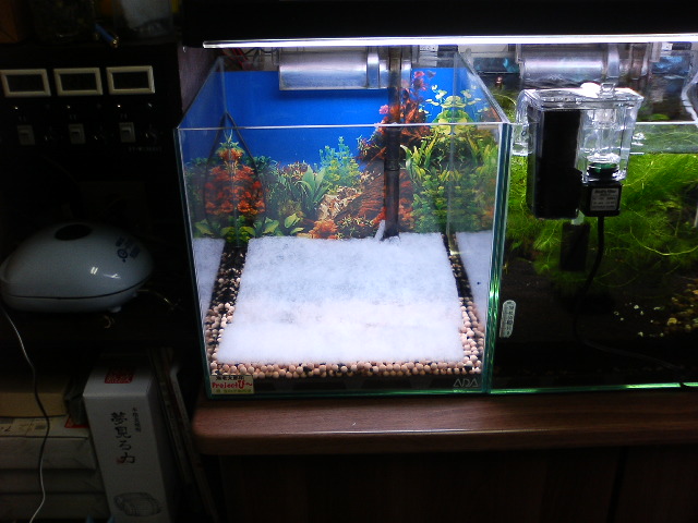 アップロードファイル 125-3.jpg