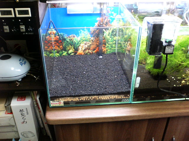 アップロードファイル 125-4.jpg