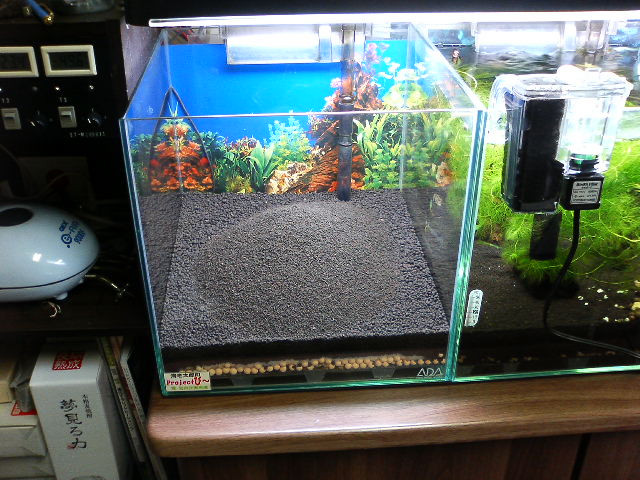 アップロードファイル 125-5.jpg