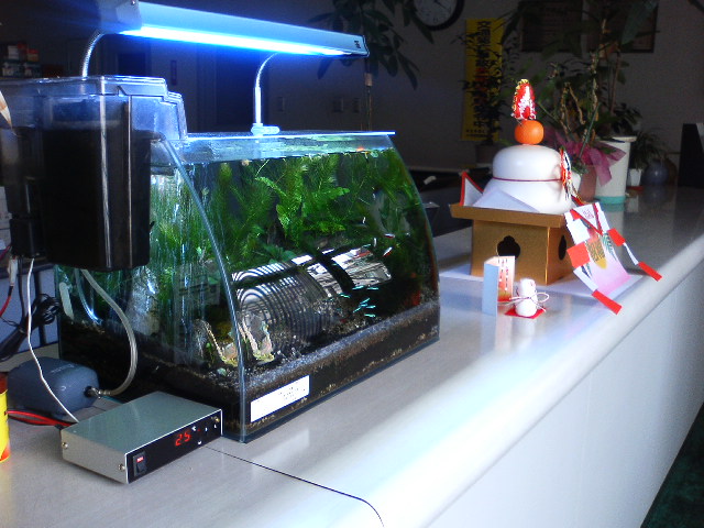 アップロードファイル 126-1.jpg