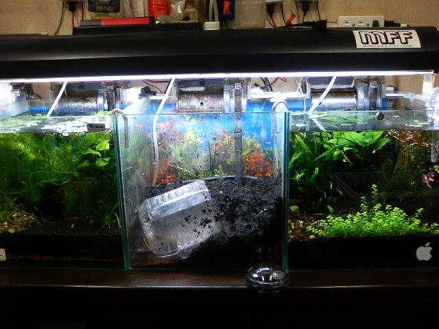 アップロードファイル 126-2.jpg