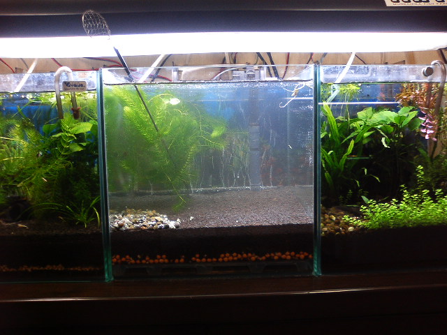 アップロードファイル 126-3.jpg