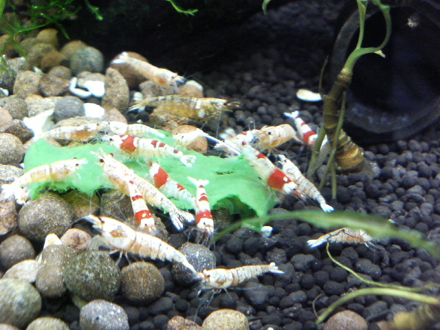 アップロードファイル 129-2.jpg