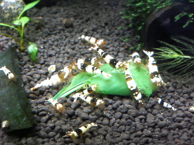 アップロードファイル 129-3.jpg