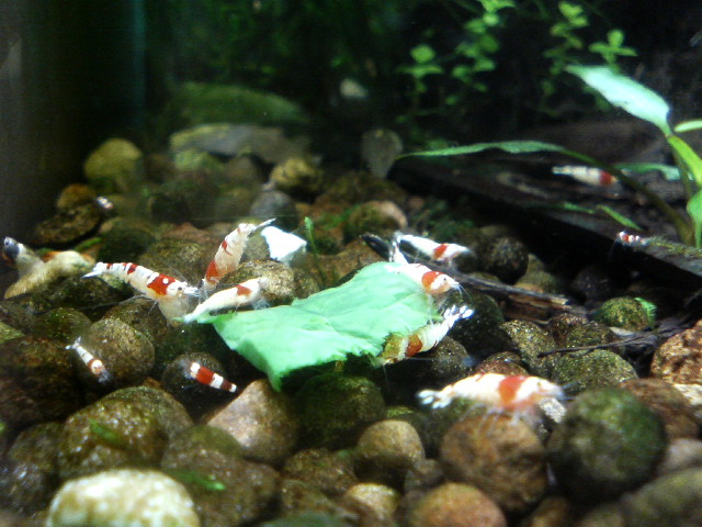 アップロードファイル 129-4.jpg