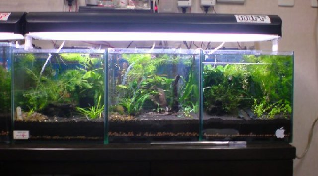 アップロードファイル 136-2.jpg