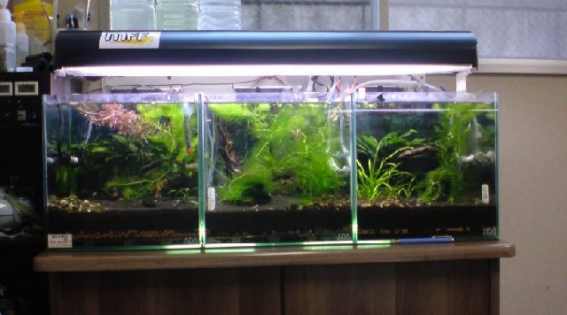 アップロードファイル 136-3.jpg