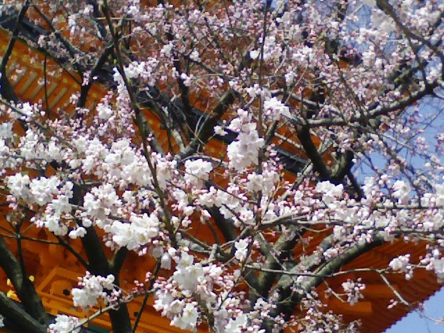 アップロードファイル 137-2.jpg