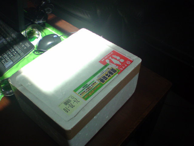 アップロードファイル 138-4.jpg