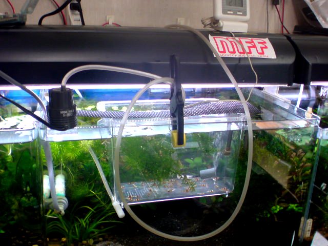 アップロードファイル 138-5.jpg