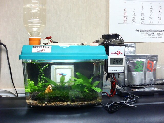 アップロードファイル 14-1.jpg