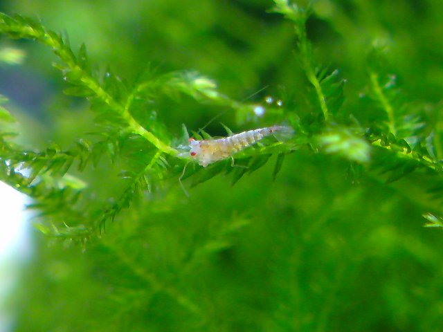 アップロードファイル 143-1.jpg