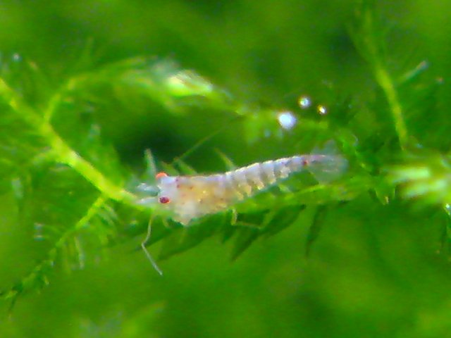 アップロードファイル 143-2.jpg