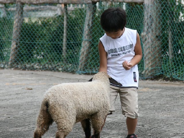 アップロードファイル 148-1.jpg