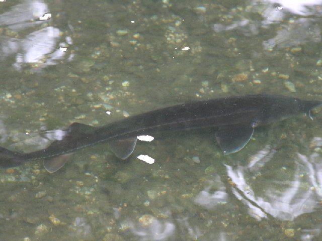 アップロードファイル 148-2.jpg